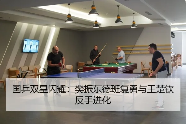 guo-ping-shuang-xing-shan-yao-fan-zhen-dong-de-ban-fu-yong-yu-wang-chu-qin-fan-shou-jin-hua-3-459.jpg
