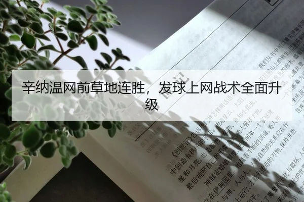 xin-na-wen-wang-qian-cao-di-lian-sheng-fa-qiu-shang-wang-zhan-shu-quan-mian-sheng-ji-2-192.jpg